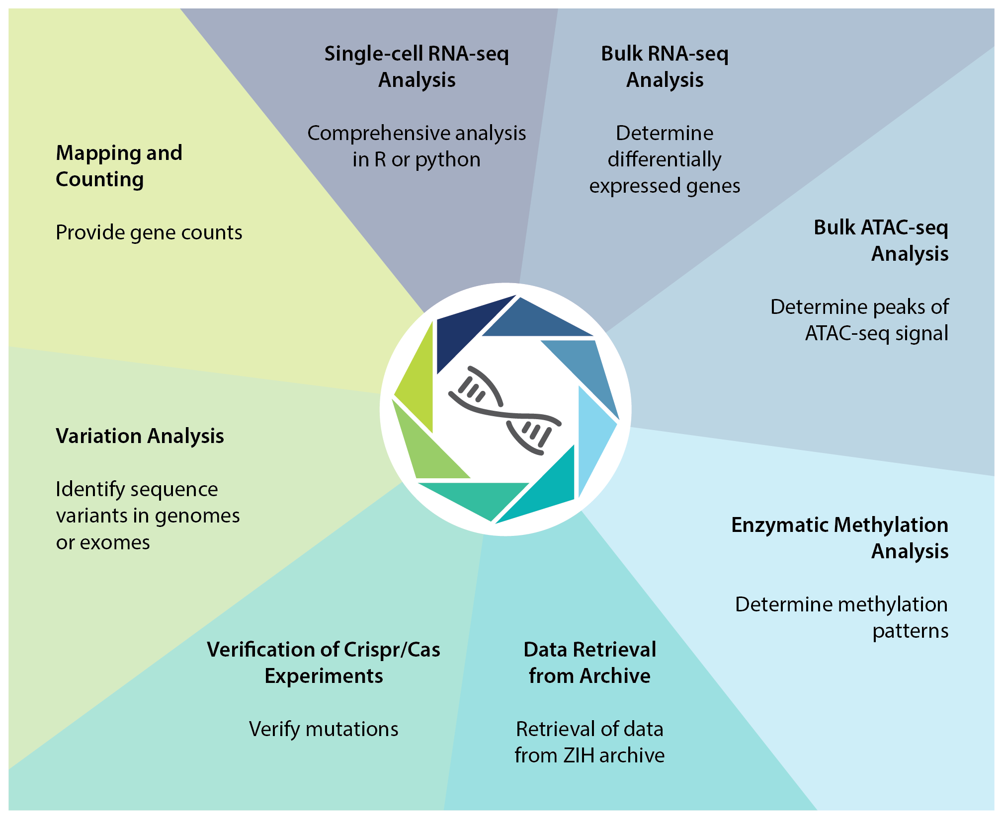 DcGC Bioinformatics Portfolio